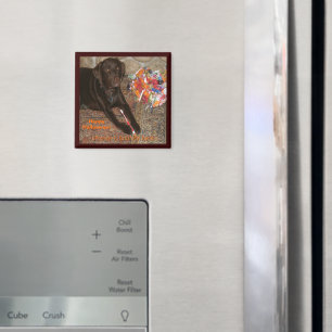 Imã Cachorro de Halloween com dente doce