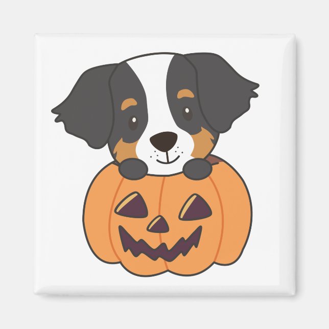 Imã Cachorro De Montanha Bernese Em Cachorros De Pumpk (Frente)