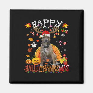 Imã Cachorro de Pitbull Cachorro de Halloween Cachorro