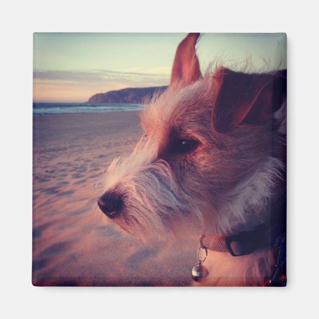 Imã Cachorro Diante Da Praia (Frente)