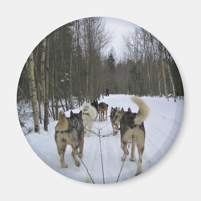 Imã Cachorro Dormindo em Quebec, Canadá (Frente)