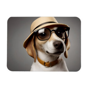Ímã Cachorro engraçado com óculos e chapéu