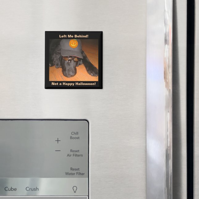 Imã Cachorro Engraçado Deixado Para Trás Deste Hallowe (In Situ (Fridge))