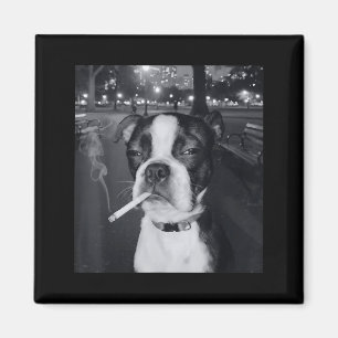 Imã Cachorro Engraçado Fumando Meme Cigarro Geração Z