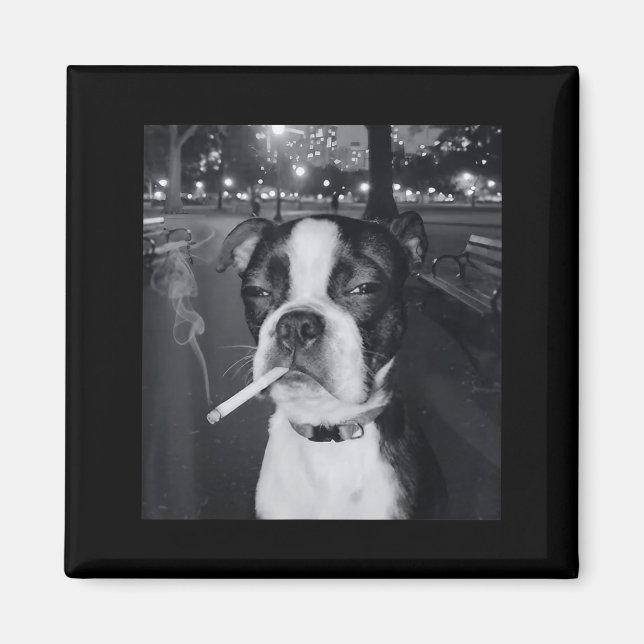 Imã Cachorro Engraçado Fumando Meme Cigarro Geração Z  (Frente)
