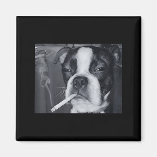 Imã Cachorro Engraçado Fumando Meme Cigarro Geração Z
