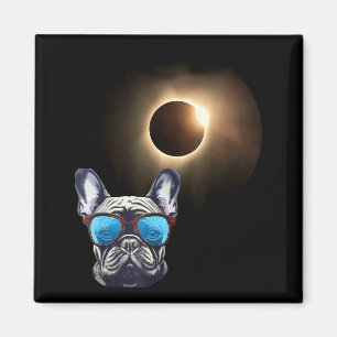 Imã Cachorro Engraçado Legal Usando Óculos de Sol Assi