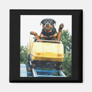 Imã Cachorro Engraçado Montanha-Russa Meme Gráfico Bob