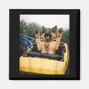 Imã Cachorro Engraçado Montanha-Russa Meme Gráfico Tol