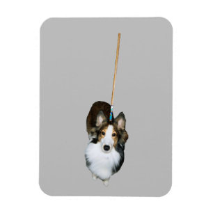 Ímã Cachorro Esfregão