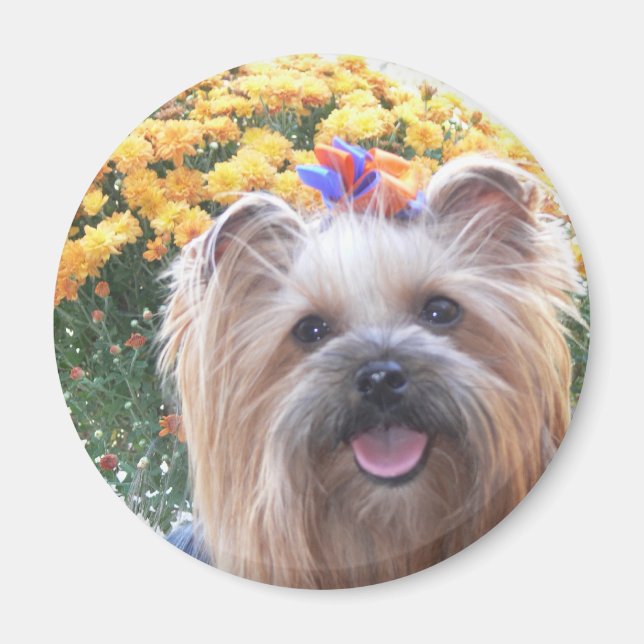 Imã Cachorro Feliz (Frente)