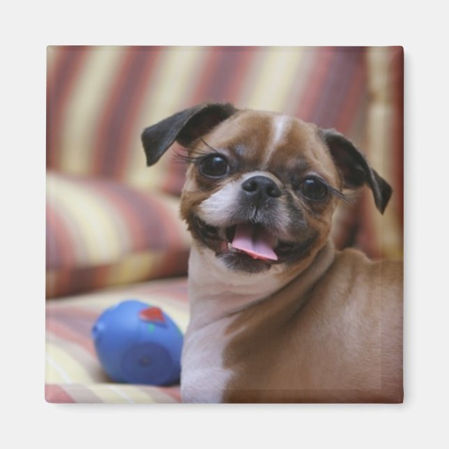 Imã Cachorro Feliz com Brinquedo (Frente)