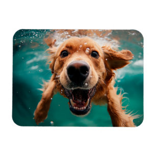 Ímã Cachorro Feliz da Raça Golden Retriever Nadar Deba