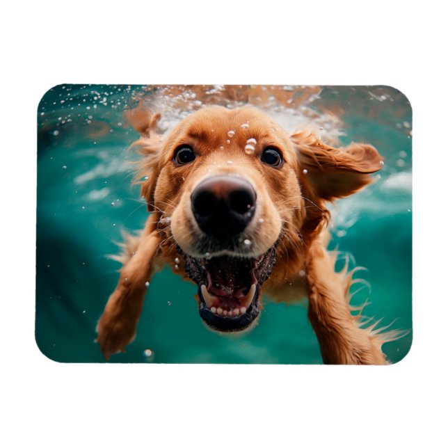 Ímã Cachorro Feliz da Raça Golden Retriever Nadar Deba (Horizontal)