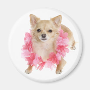 Imã Cachorro Filhote Chihuahua Amor