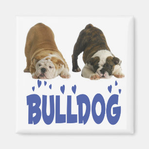 Imã Cachorro Filhote de Bulldog Inglês Amor