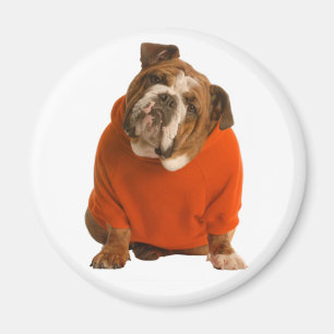 Imã Cachorro Filhote de Bulldog Inglês Amor