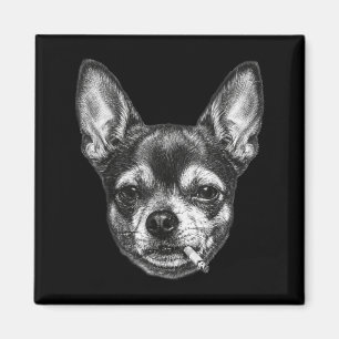 Imã Cachorro Fumando Cigarro Meme Engraçado Chihuahua