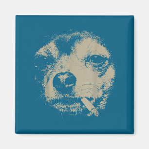 Imã Cachorro fumando cigarro meme engraçado de Chihuah