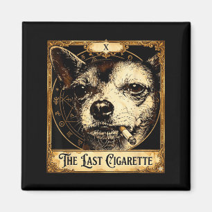 Imã Cachorro fumando cigarro meme engraçado do chihuah