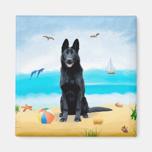 Imã Cachorro German shepherd Negro na praia