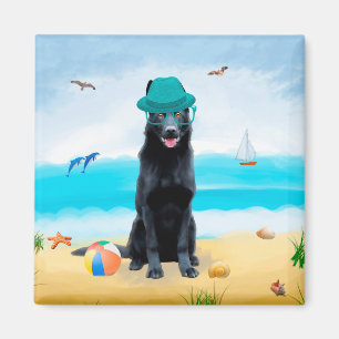 Imã Cachorro German shepherd Negro na praia