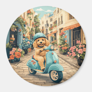 Imã Cachorro Goldendoodle andando de scooter pelas rua