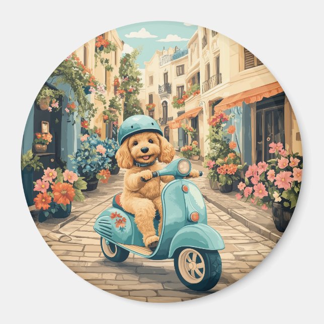 Imã Cachorro Goldendoodle andando de scooter pelas rua (Frente)