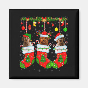 Imã Cachorro Goldendoodle em Meias de Natal Cachorro d