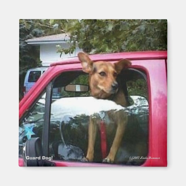 Imã Cachorro guarda! (Frente)