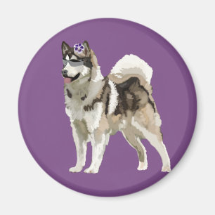 Imã Cachorro Husky com ímã de foto de flor