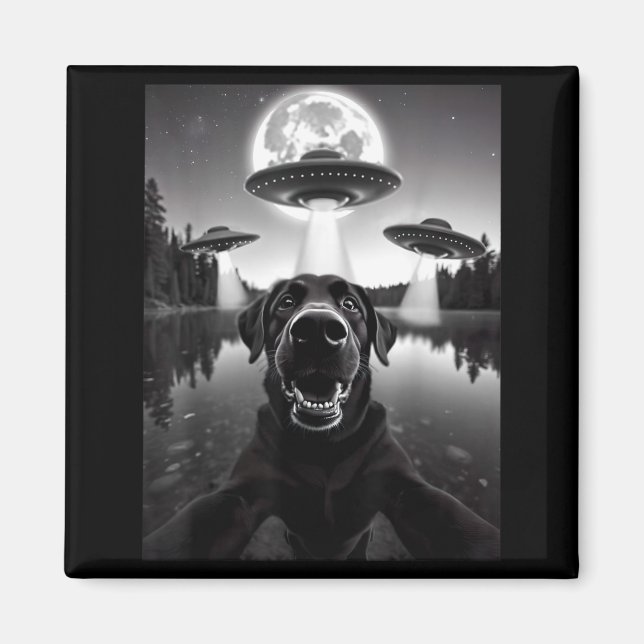 Imã Cachorro Labrador Labrinto Preto Engraçado Selfie  (Frente)