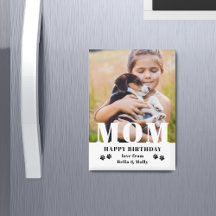 Cachorro Mãe Feliz Aniversário Moderno Foto Person