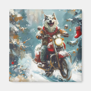 Imã Cachorro Malamute do Alasca Pilotando Motocicleta
