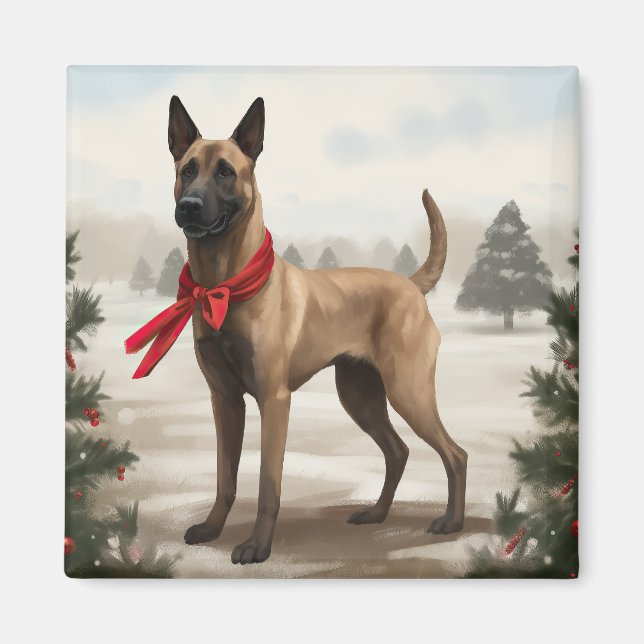 Imã Cachorro Malinois belga no Natal da neve (Frente)