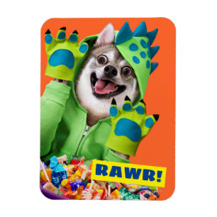 Ímã Cachorro na fantasia de dinossauro