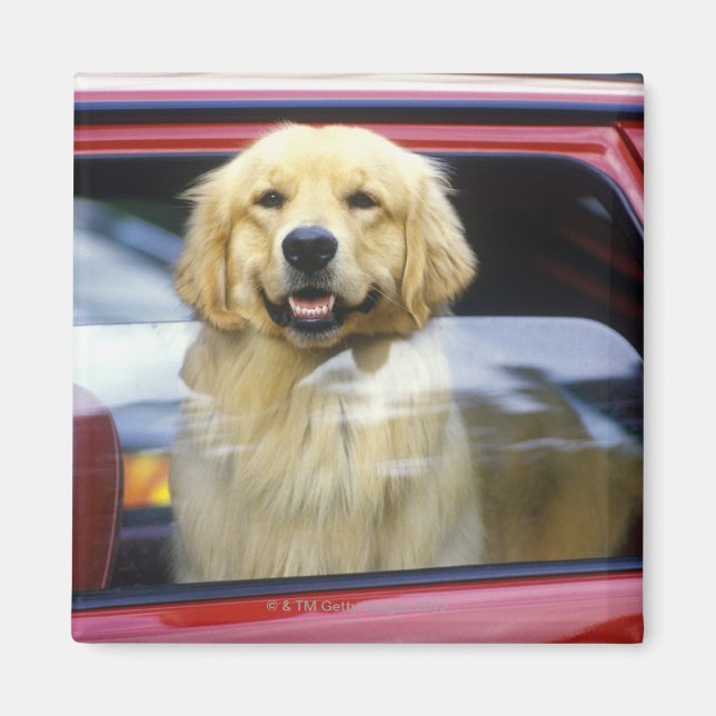 Imã Cachorro na janela vermelha do carro (Frente)