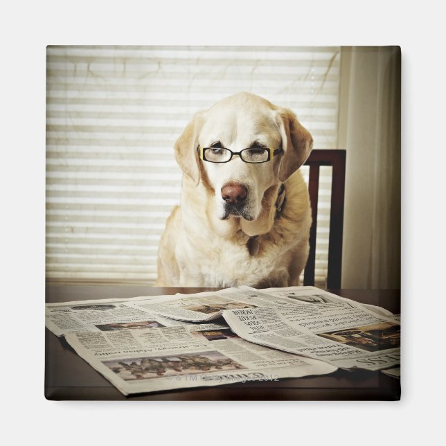 Imã Cachorro na rotina matinal (Frente)