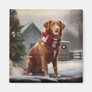 Imã Cachorro Nova Scotia Duck Tolling Retriever na Nev