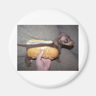 Imã Cachorro num bastão