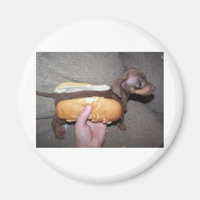 Imã Cachorro num bastão (Frente)