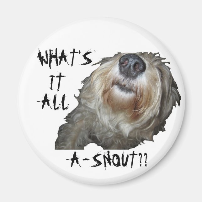 Imã Cachorro "O QUE É TUDO UM NEVE?" Ímã (Frente)
