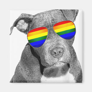 Imã Cachorro-Orgulho gay Pitbull Vestir Gift Rai Gift