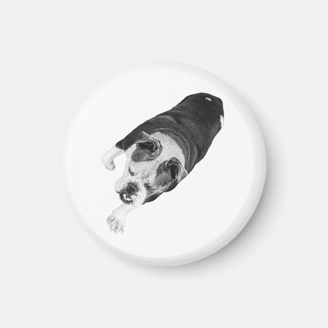 Imã Cachorro Passo à Frente Adiciona Momentum a Espaço (Frente)