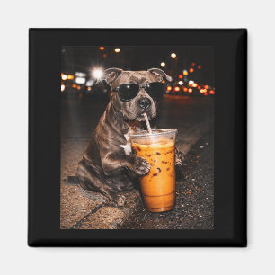 Imã Cachorro Pitbull bebendo café gelado com óculos de