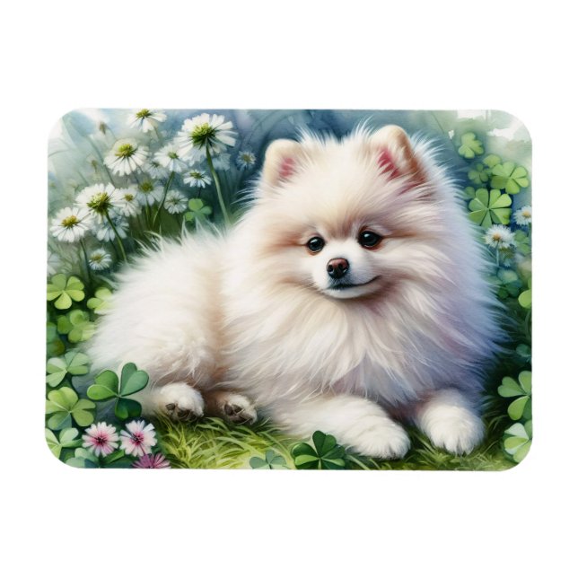 Ímã Cachorro Pomerano Branco Flexível De Aquarela De C (Horizontal)