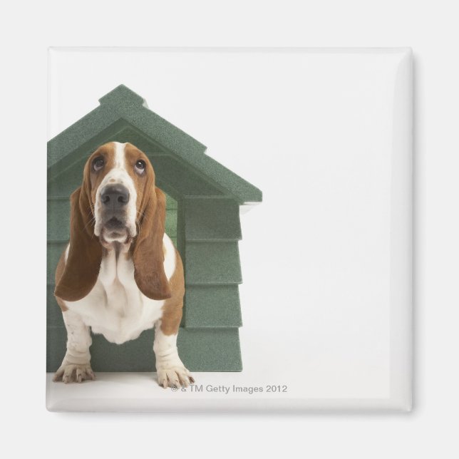 Imã Cachorro por doghouse (Frente)