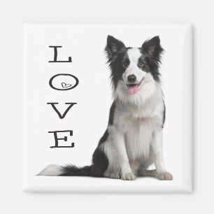 Imã Cachorro Preto e Branco Border Collie Amor