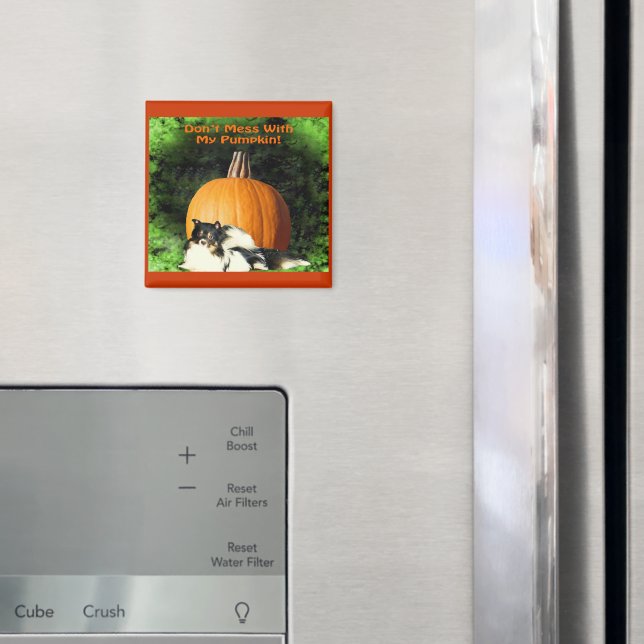 Imã Cachorro Protegendo Grande Magneta De Abóbora (In Situ (Fridge))