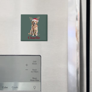Imã Cachorro Retriever Dourado Natal Nome Personalizad